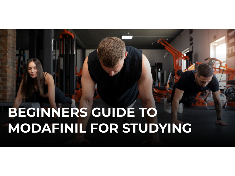 Beginners Guide to Modafinil for Studying